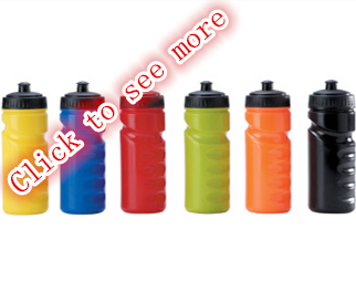 Sports bottle