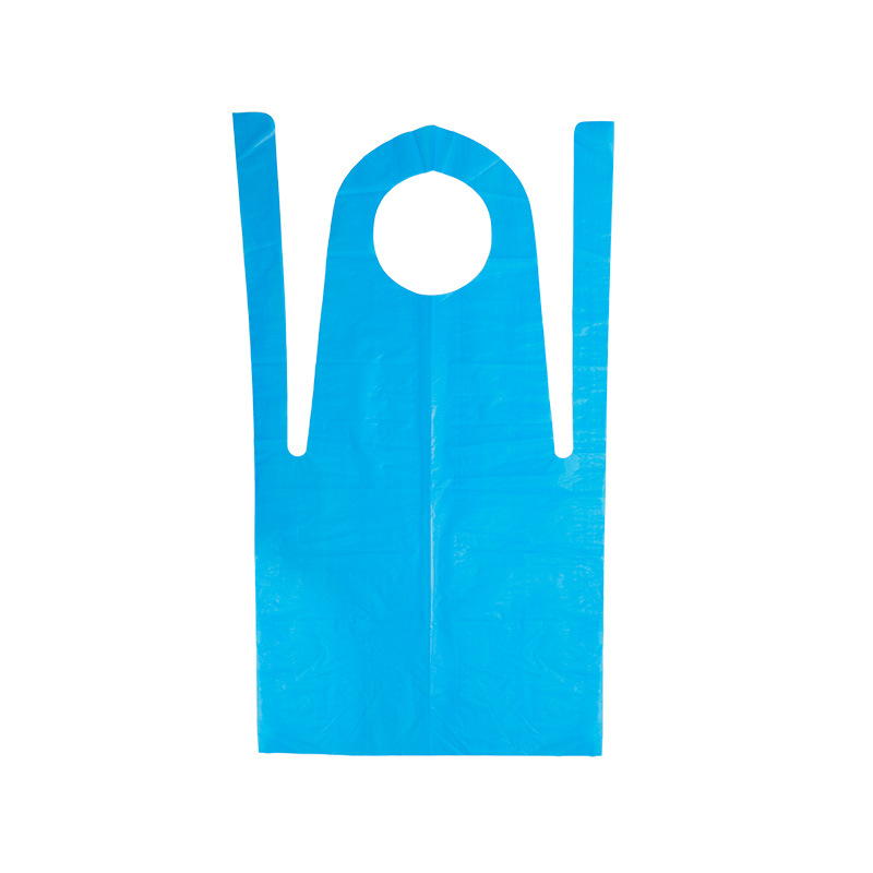 RS-AP009